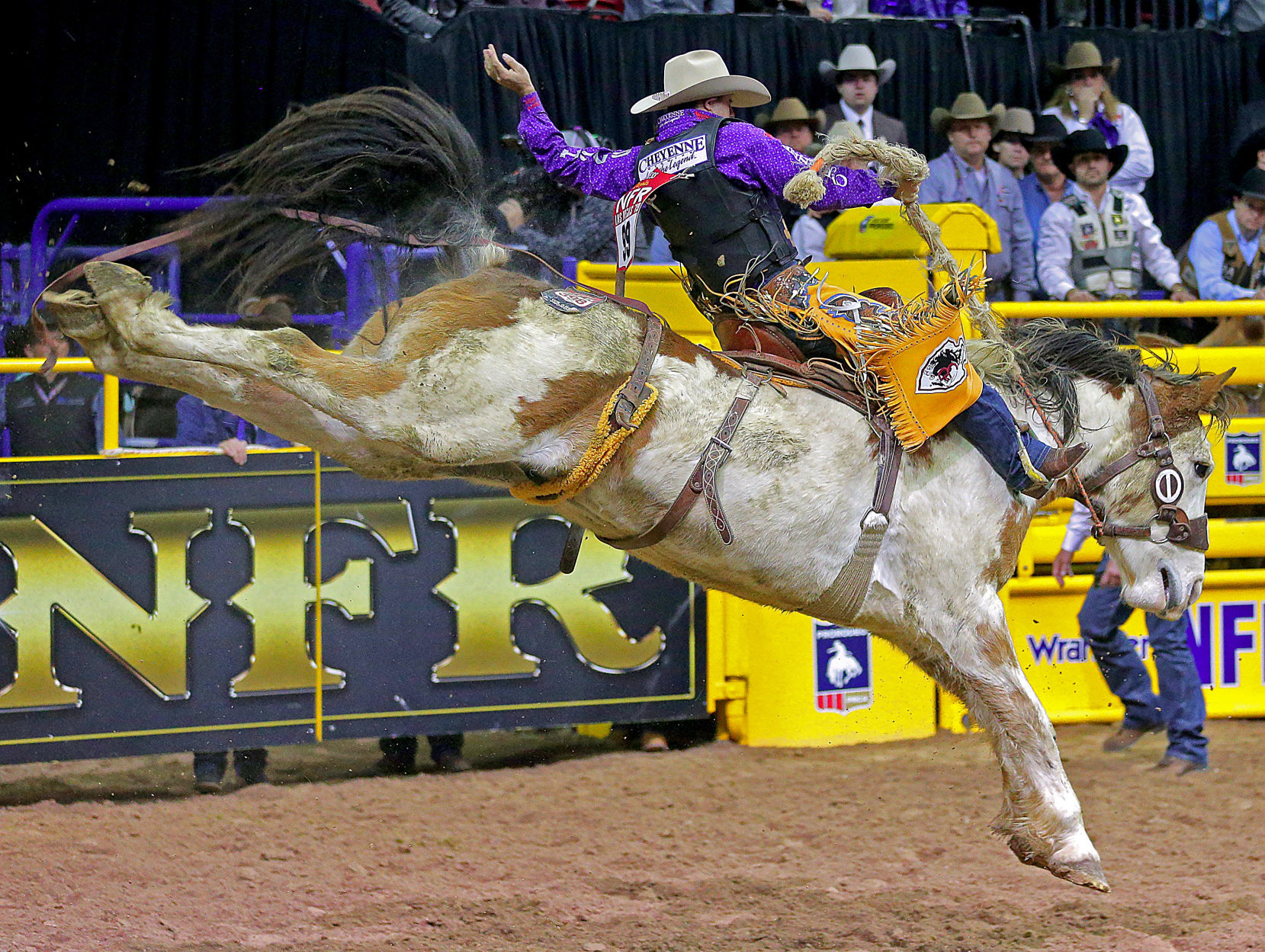 2019 Wrangler National Finals Rodeo — Round 10 Winners — Brody Cress.jpg